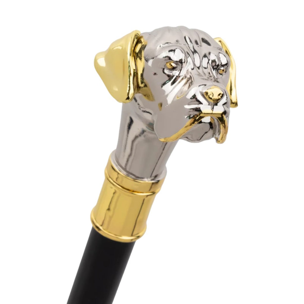 Silver and gold Staffordshire terrier head detail