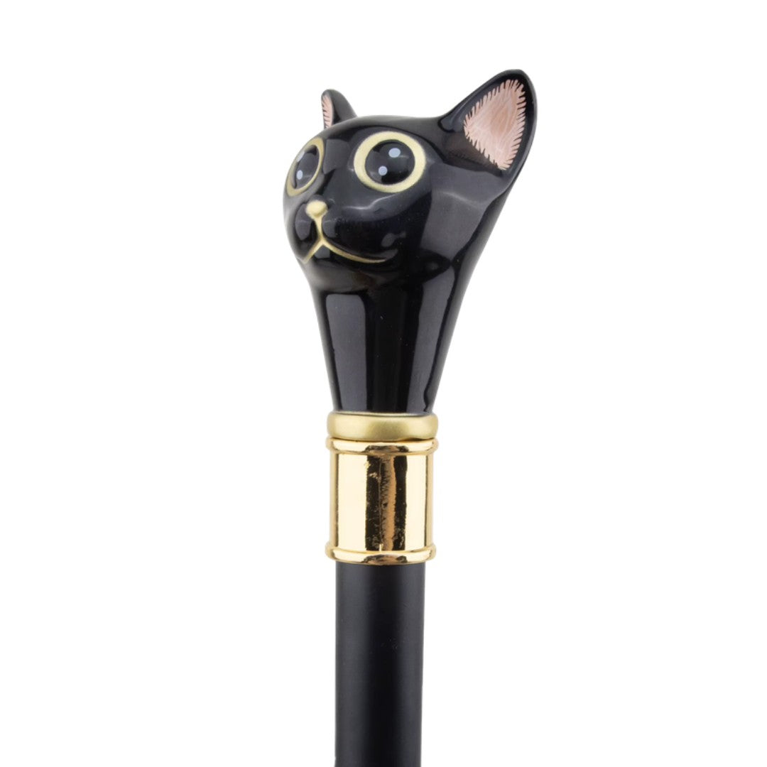 Black cat walking cane full length view with gold collar